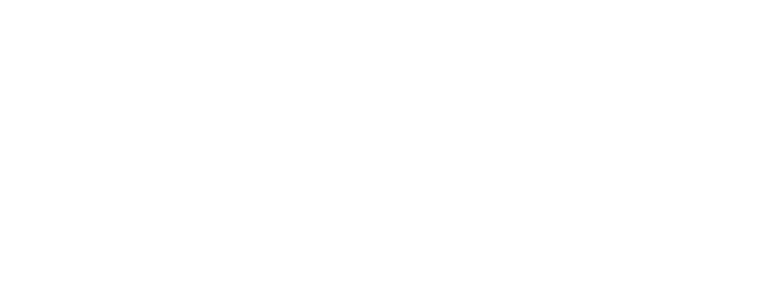 Aging Wisdom