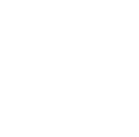The Neuberger Museum of Art