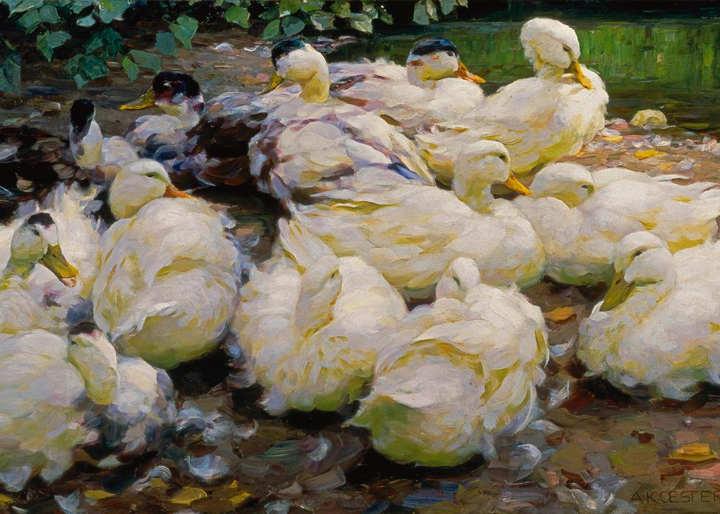 Alexander Max Koester. Moulting Ducks, ca. 1900. Oil on canvas. 28 3/8 x 51 3/8 in. 