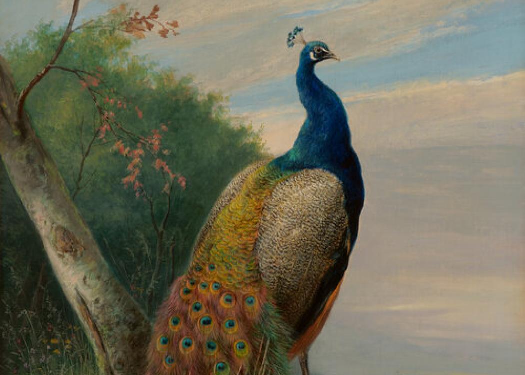 Guided Artwork Discussion: Julius Scheuerer