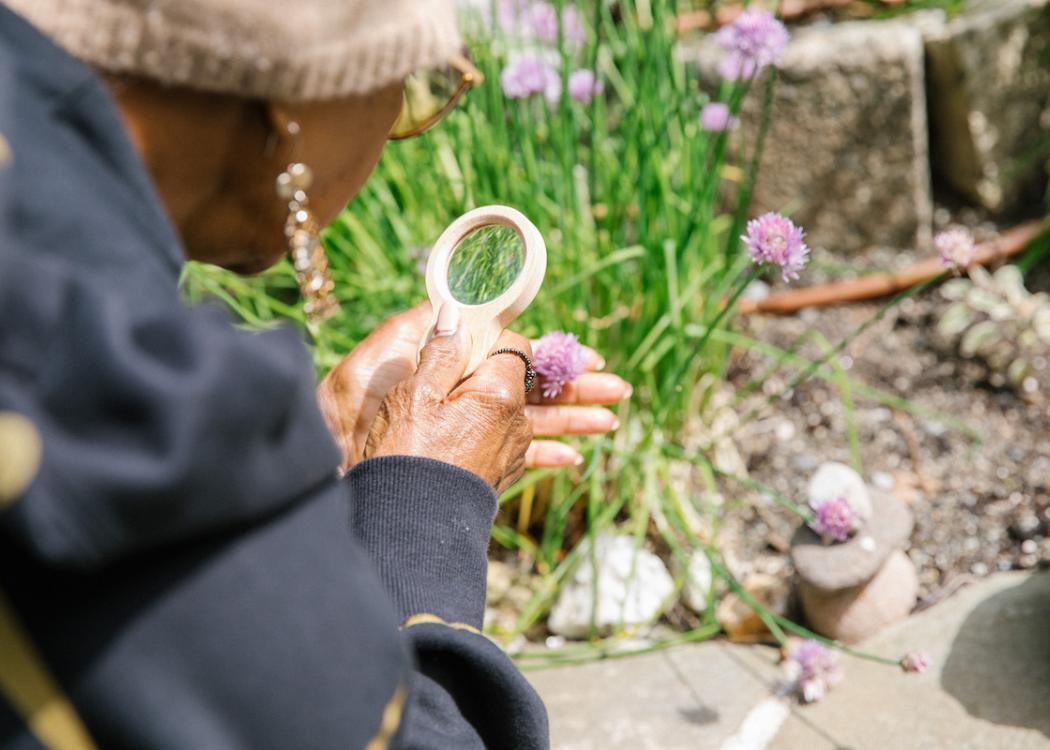 An older person looking at a flower through a magnifying glass in a sunny garden