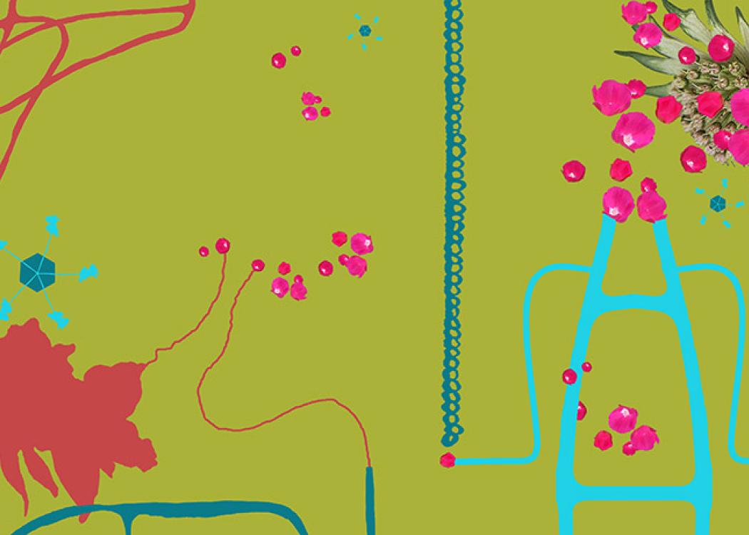 A flat green collage of colors, graphics, and photos of flowers