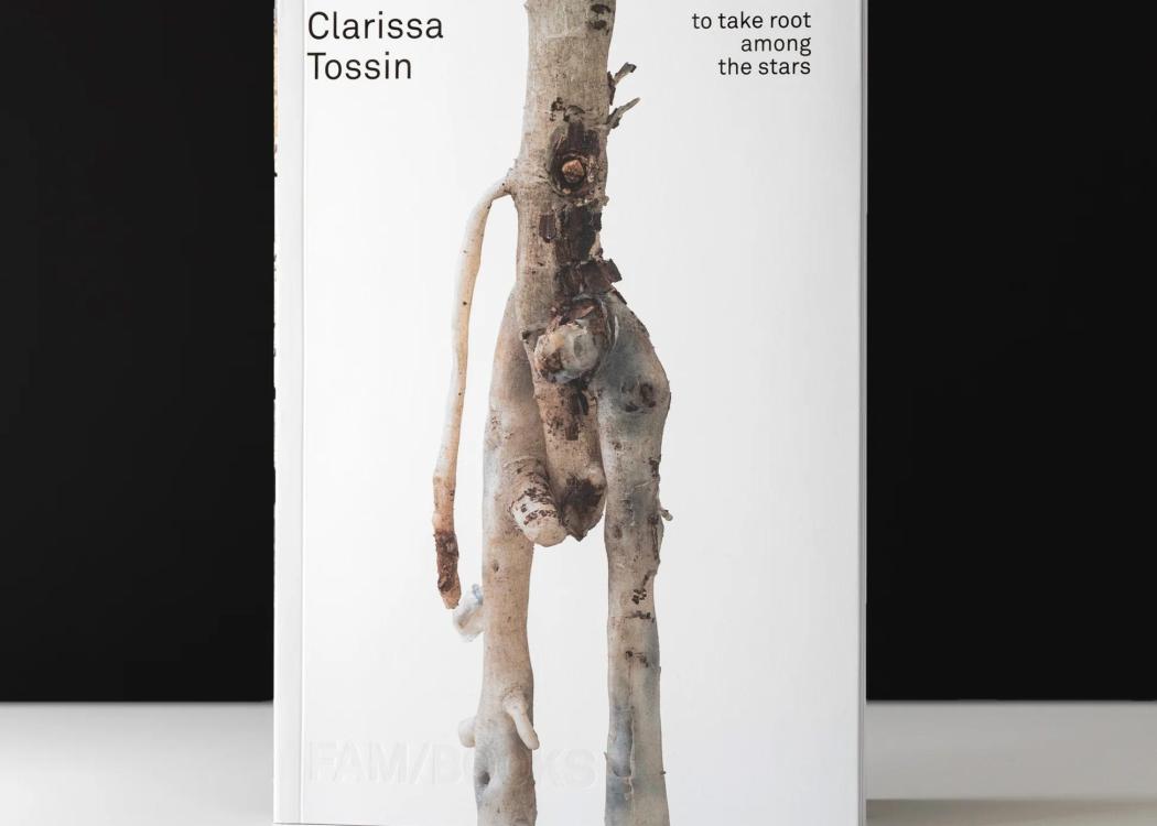 Photo of the cover of the books "Clarissa Tossin: to take root among the stars"