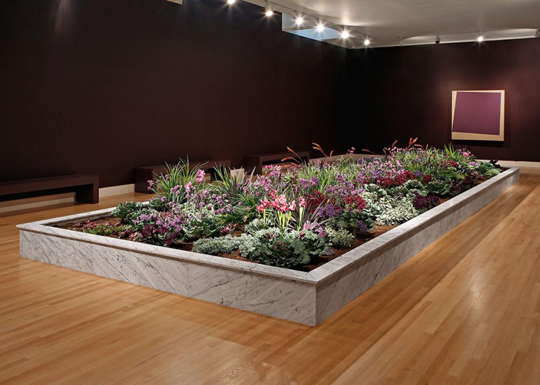Young Blood Installation at the Frye Art Museum