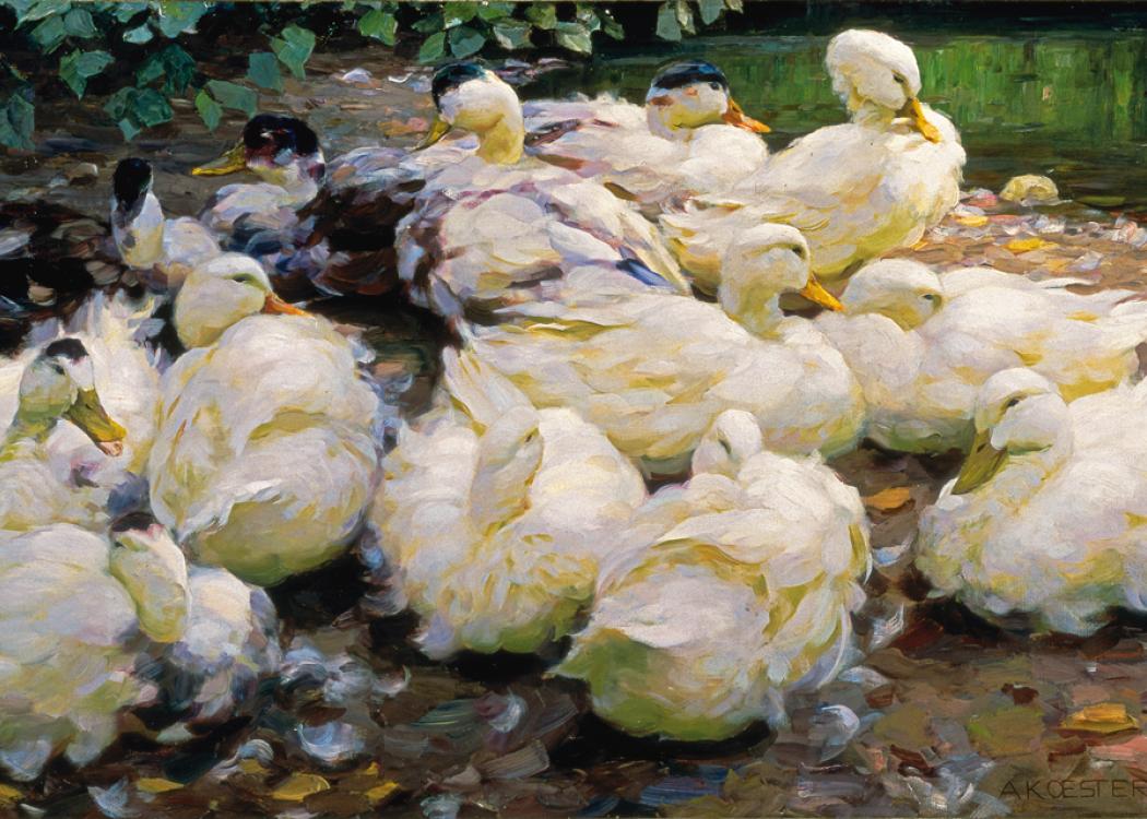Alexander Max Koester. Moulting Ducks, ca. 1900