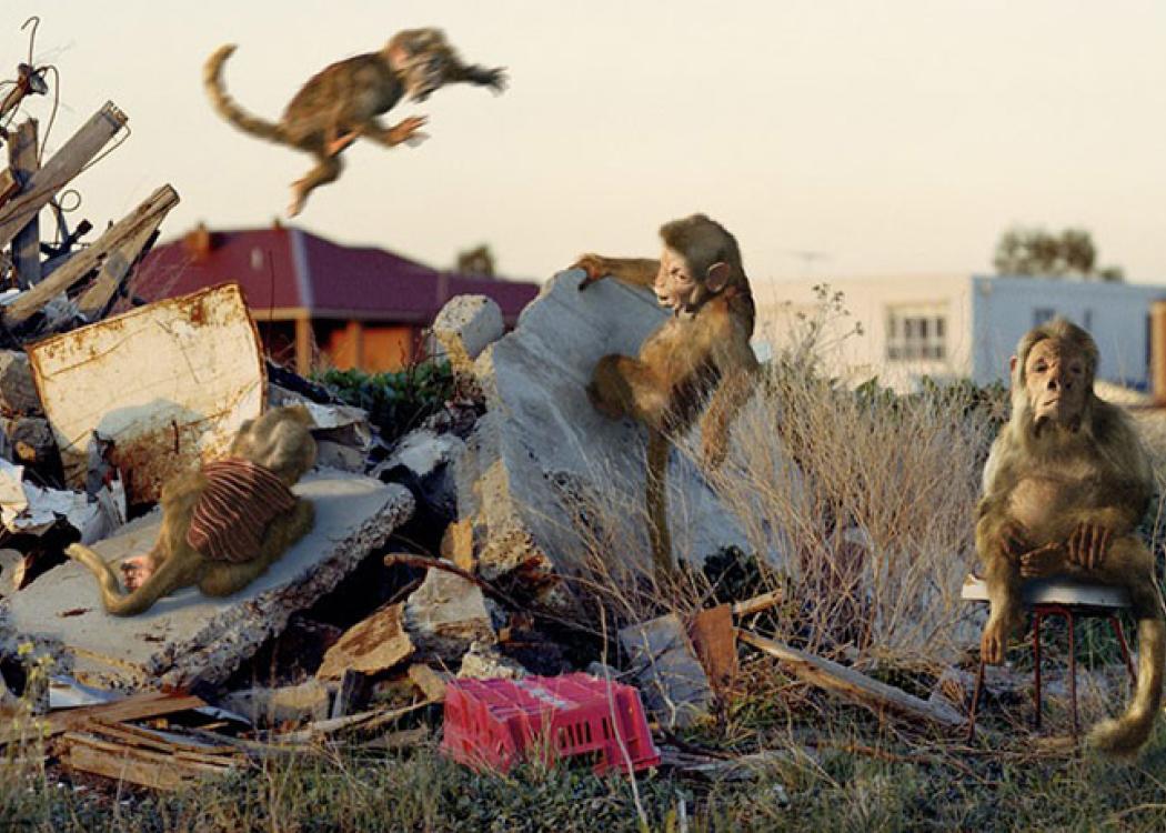 A photograph of realistic sculptural monkey-like figures arranged in a pile of rubble