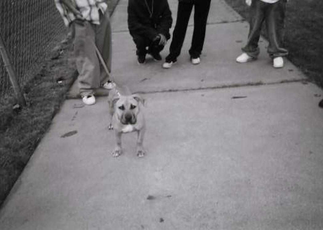 A black and white photo of a dog on a leash on a sidewalk in front of people's legs