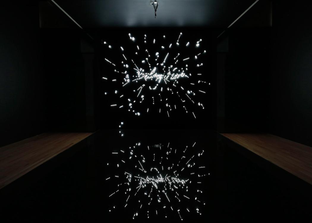 Tavares Strachan. Installation view of I Belong Here, 2011.