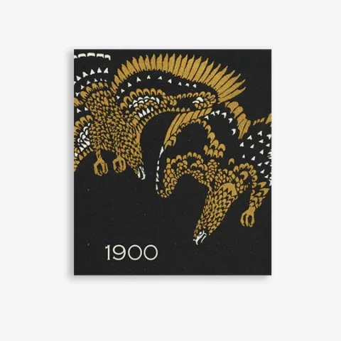 Book cover with artistic renditions of two eagles